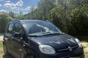 Panda