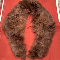 Colletto in volpe 