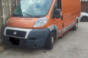 ducato