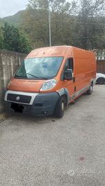 ducato
