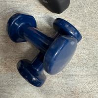 Manubri 2 kg decathlon