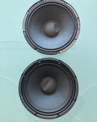 Coppia di woofer per casse Alto TS310