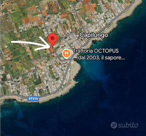 CAPILUNGO - Terreno ricadente in zona Alberghiera