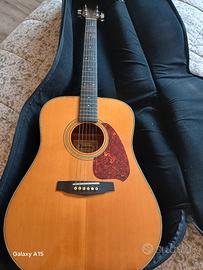 chitarra ibanez v 300