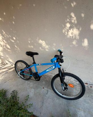 Bicicletta