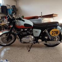 traiumph bonneville t100