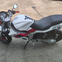 Gilera DNA