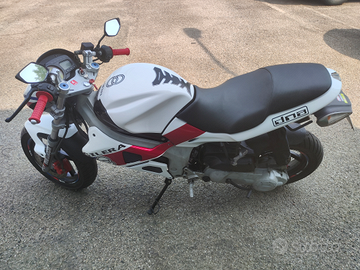 Gilera DNA