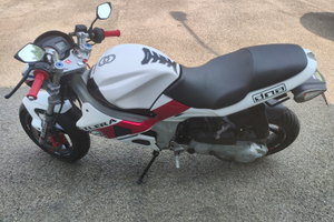 Gilera DNA