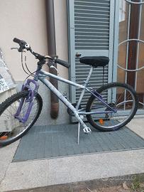 Bicicletta bianco e viola 
