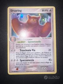 Ursaring holo