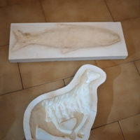Stampi in gesso per marzapane