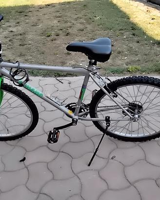 bicicletta da ragazzo 