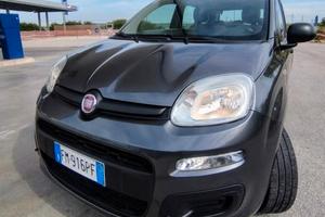 fiat panda easy 1.2 benzina fire