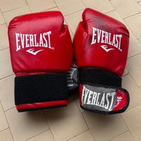 Guantoni boxe EVERLAST "BLOOD EDITION" (Ex Neri)