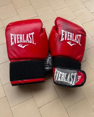 Guantoni boxe EVERLAST "BLOOD EDITION" (Ex Neri)