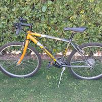 Mountain bike Bianchi