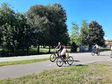 Terreno agricolo con capannone e box