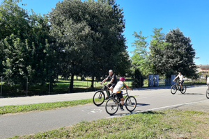 Terreno agricolo con capannone e box