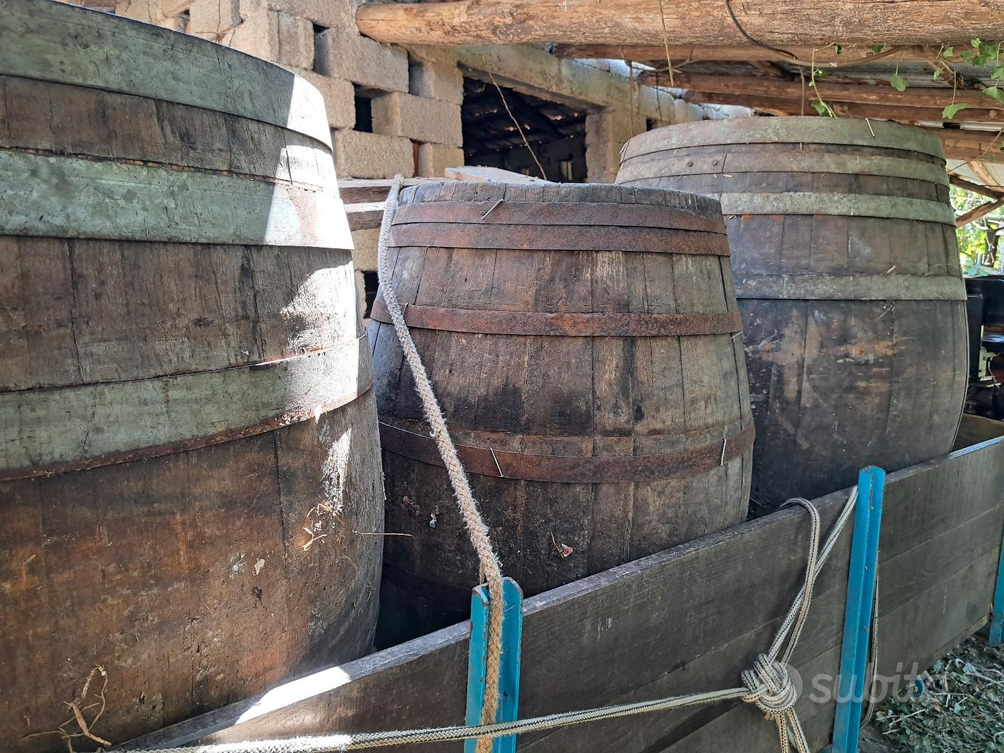 Botti da vino antiche - Giardino e Fai da te In vendita a Frosinone