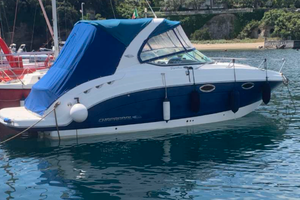 Chaparral Signature 250 270