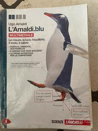 9788808265487 amaldi blu multimediale