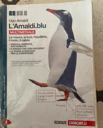 9788808265487 amaldi blu multimediale