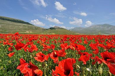 Castelluccio di Norcia Fotografia 50x70
