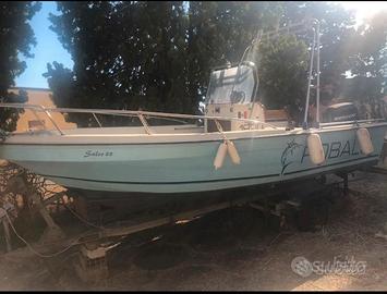 Robalo 18.20 mercury 40 cv