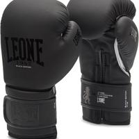 Guantoni Box Pugilato + fasce