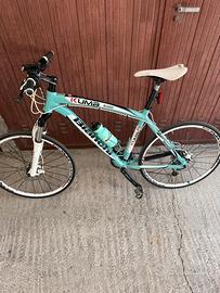 Bici bianchi modello kuma 5300