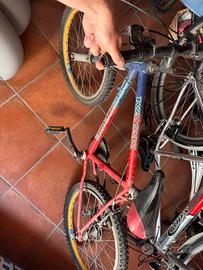Bicicletta per ragazzo usata