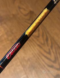 Rara Canna Giapponese EBISU