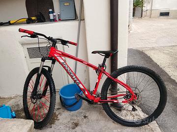 bici montabike monster