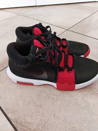 Nike Lebron Witnwss 8 n.43