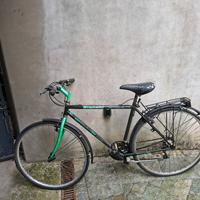 Bianchi spillo verde