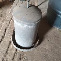 mangiatoia X galline