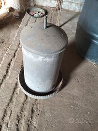 mangiatoia X galline