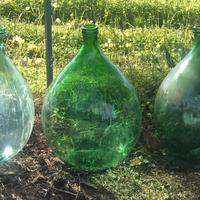 Botti  damigiane in vetro