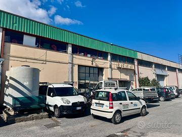 Quote Sociali - 50% di s.n.c. Storica con Immobil