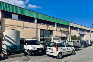 Quote Sociali - 50% di s.n.c. Storica con Immobil