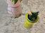 Immagine 4