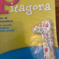 Libro di matematica Pitagora