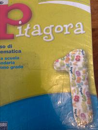 Libro di matematica Pitagora