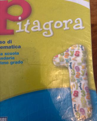 Libro di matematica Pitagora
