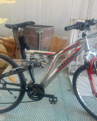Bicicletta