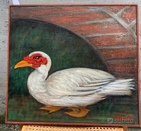Quadro 51x46 cm. Anatra bianca