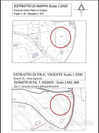 Terreno, campo agricolo