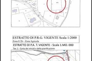 Terreno, campo agricolo