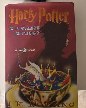 Harry potter libro
